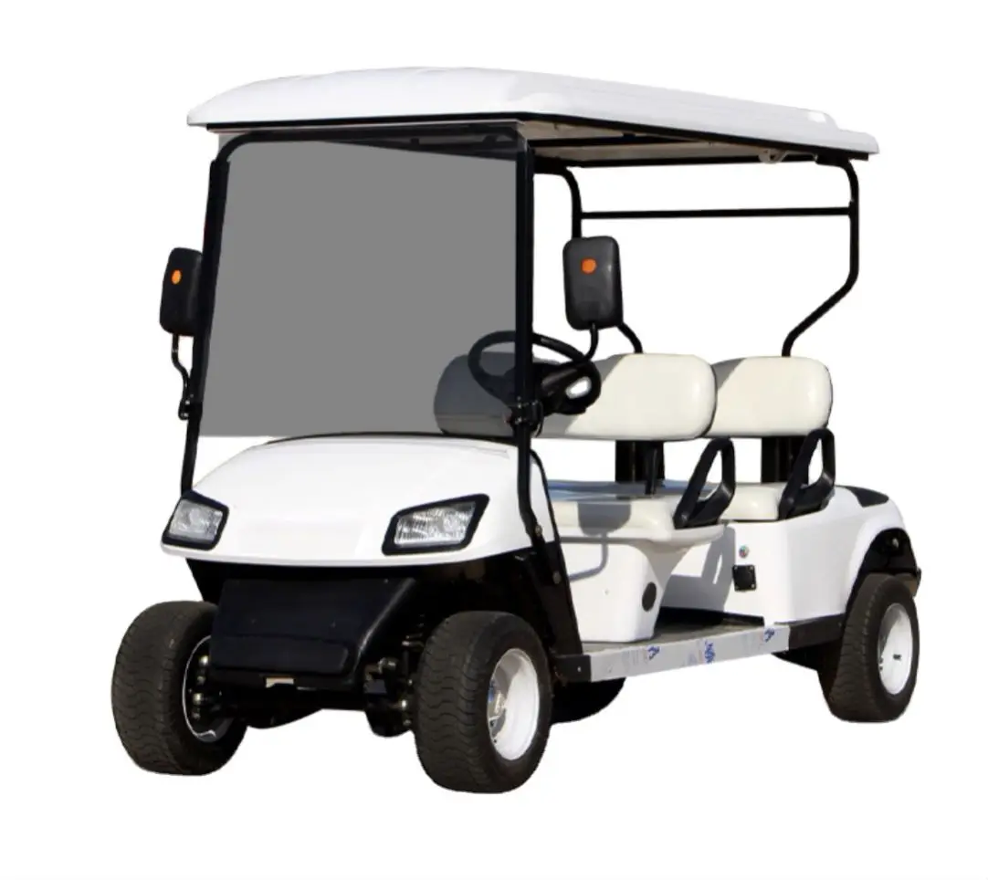 Battery Powered Mini Golf Buggy Club Custom Electric Golf Cart Car