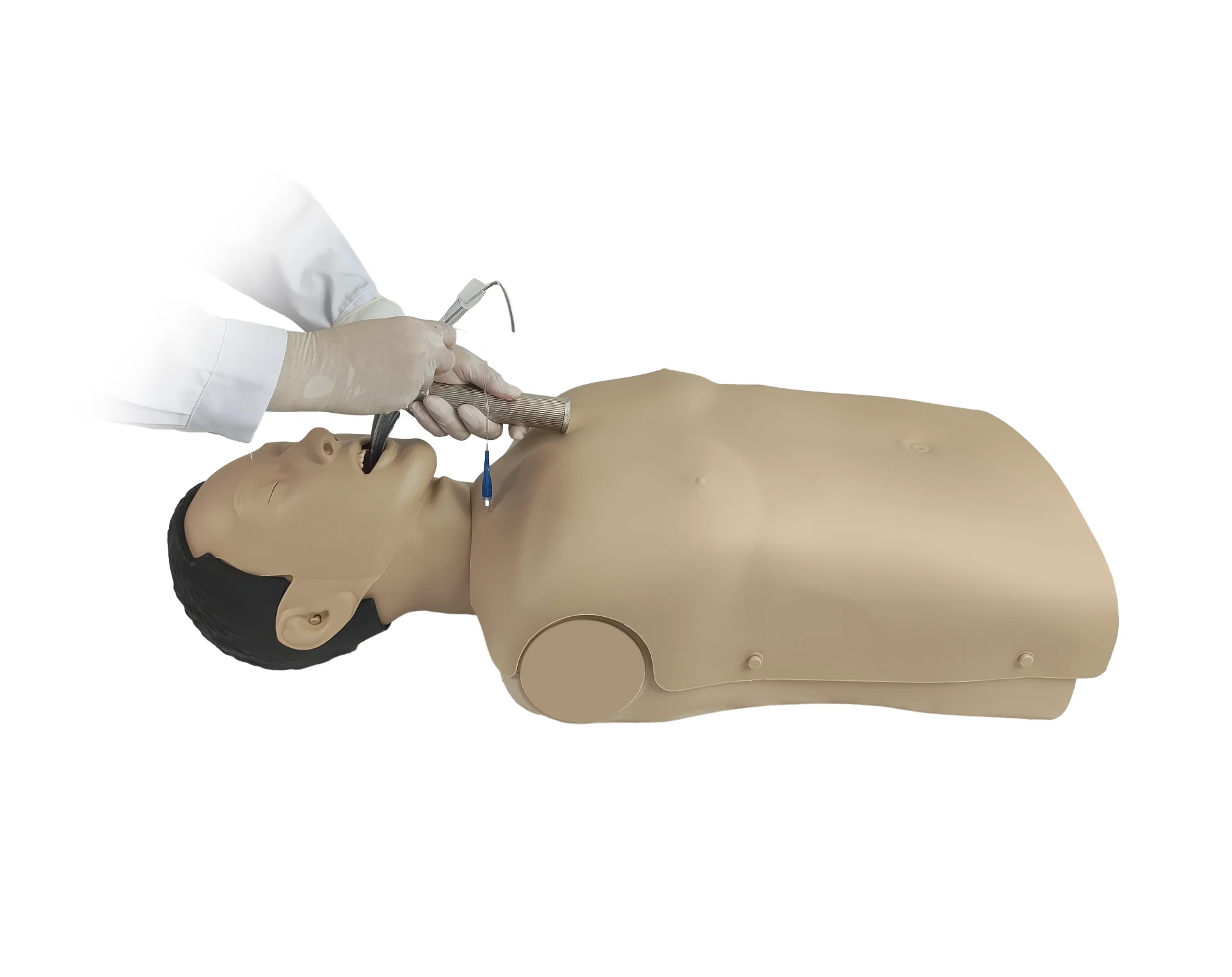 Half Body Endotracheal Intubation Model
