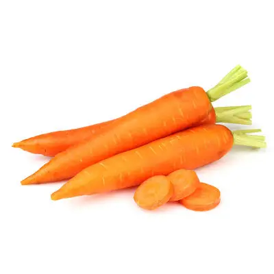 
Chinese new crop fresh carrot carrot supplier 