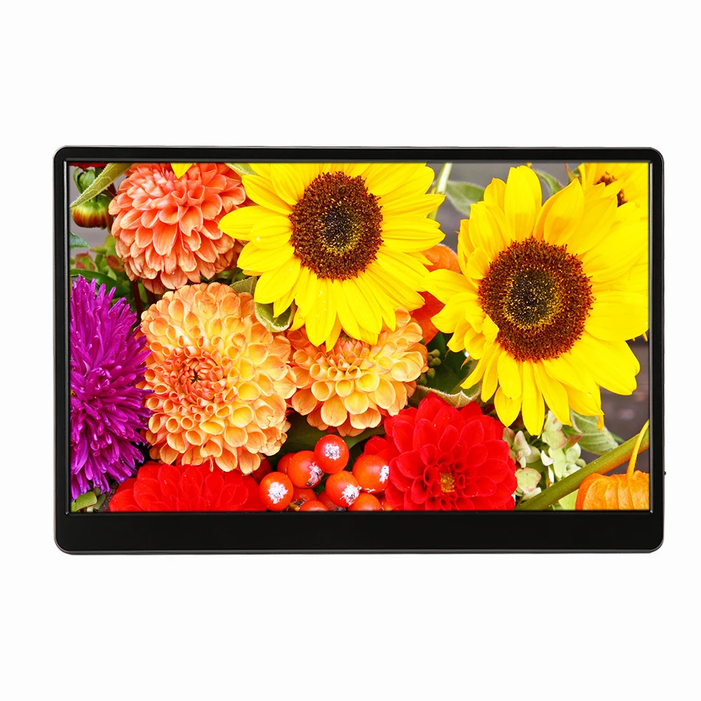 HD 1080P Wall Mountable Foldable LCD Portable Monitor 15.6 inch Type-C Port for Cell Phone PC Laptop Notebook Screen
