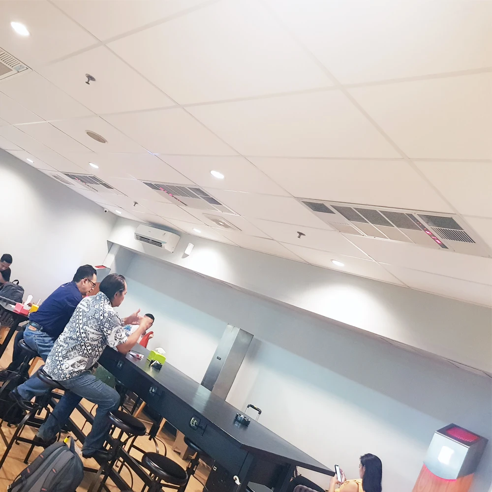 High Efficiency Easy Ventilation Smoking Room HEPA Air Purifier Ceiling Mounted ESP Air Purifier Air Filter Box