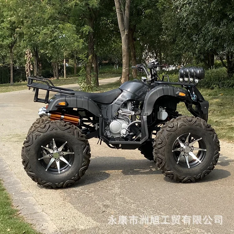 Hot Selling 250cc 400CC Motorcycle 4x4 atv 4 stroke Gasoline Quad ATV Beach Buggy Disc Break Automatic for Adult