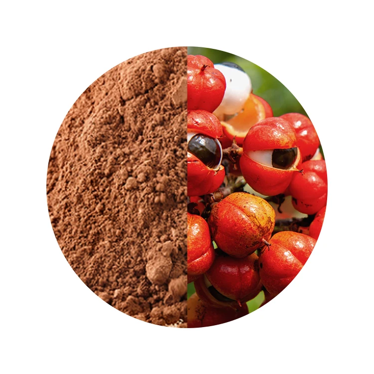 Natural Superfruit Bulk Sun Dried Guarana Powder Natural Oganic Herb Extract Guarana Seeds Powder