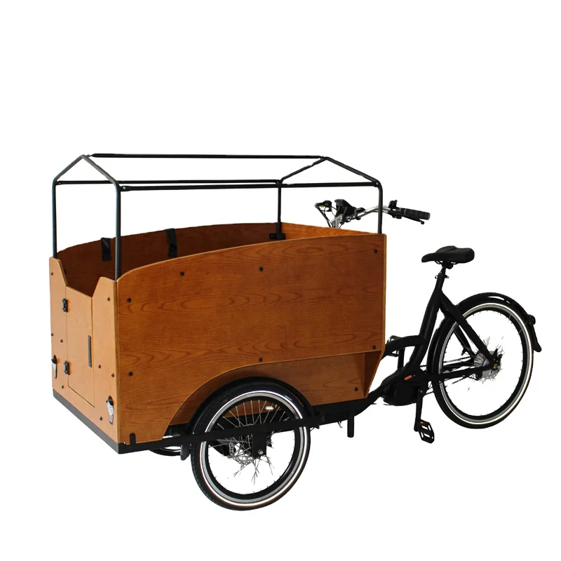 Tricycle electric cargo three wheels cargo bike five seats cargo children bike