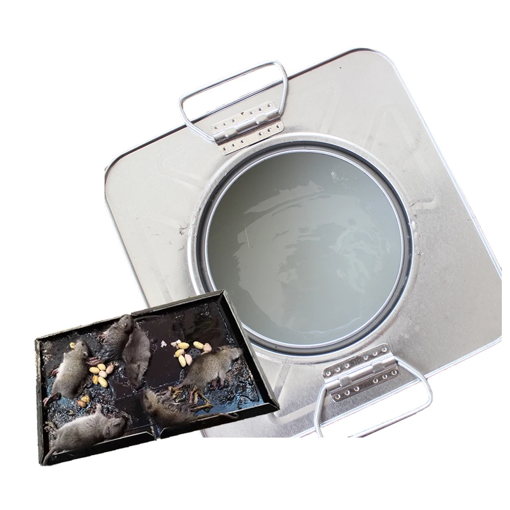 Factory Hot Sale High Quality Disposable Rat Trap Board Featuring Animal Plant Design with Plastic Paper Metal Gel Adhesive