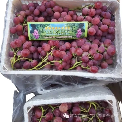 
Hot Sell Fresh Sweet Chinese Red Grapes Chinese red globe grapes 