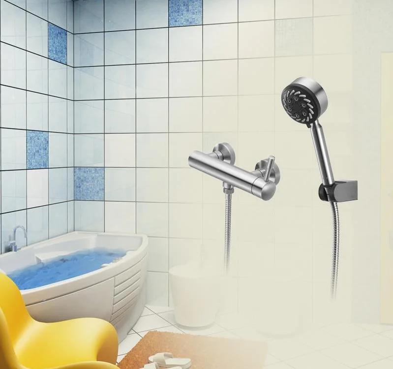 
Five function hand shower Stainless steel anti-exploded hose shower rain toilet shower set for bathroom 