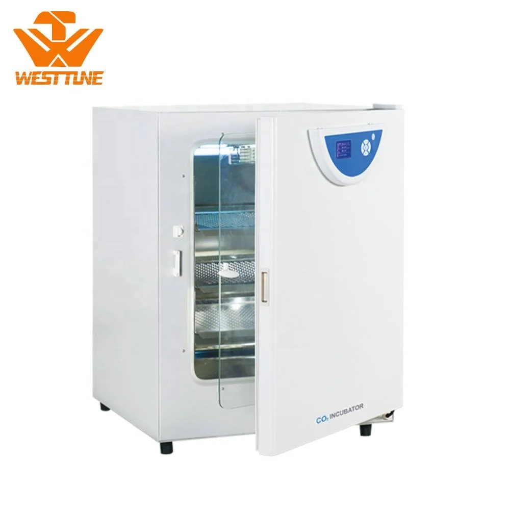  Западная Мелодия BPN-80CRH 80l цифровой небольшой лабораторный инкубатор Co2