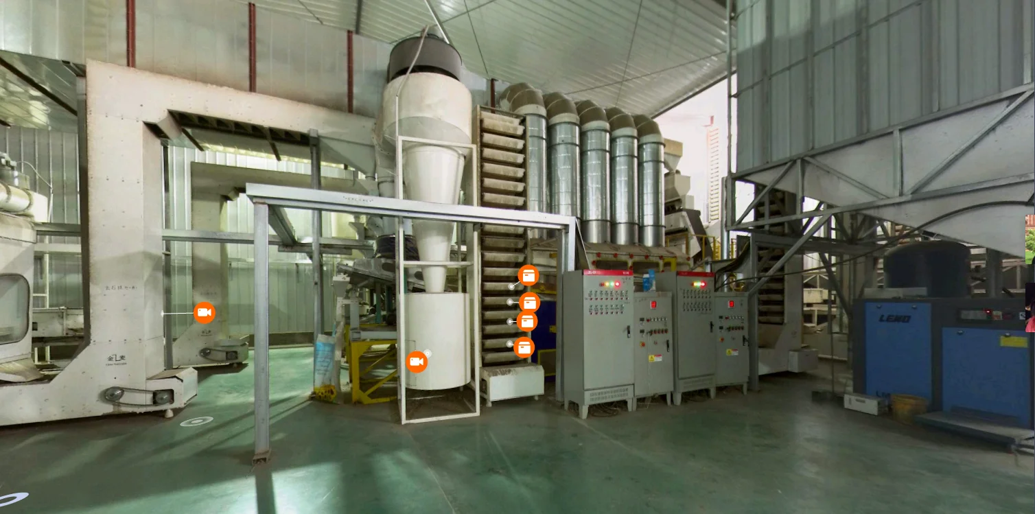 Sunflower Seeds type 361 363 601