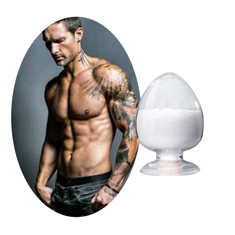 High quality food supplements creatine monohydrate powder bulk N-Amidinosarcosine CAS 6020-87-7