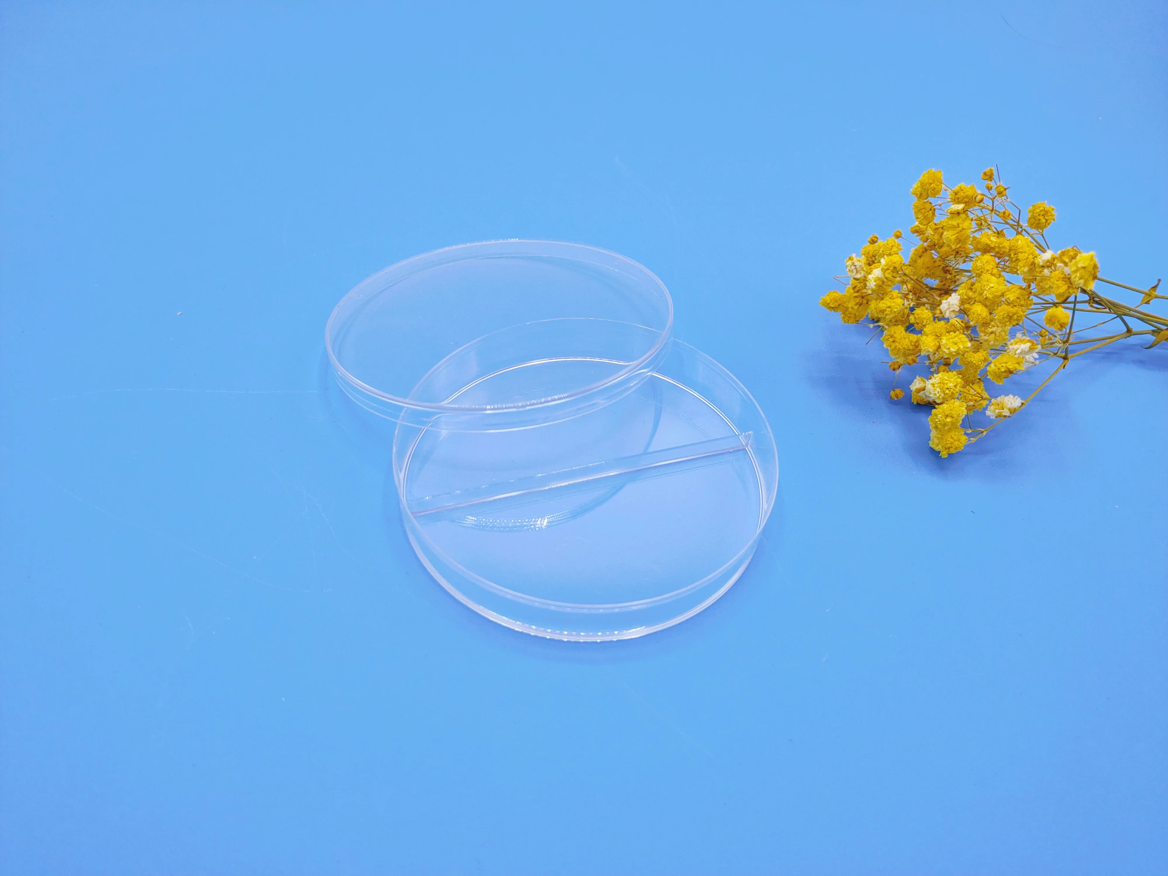 Custom wholesale fungus Petri dish plastic three-chamber petri dish