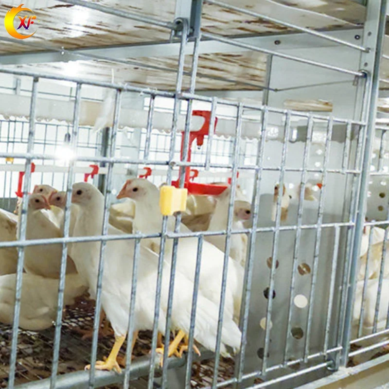 Egg Layer Cages Breeding Chicken Poultry Farm Equipment Battery Cage