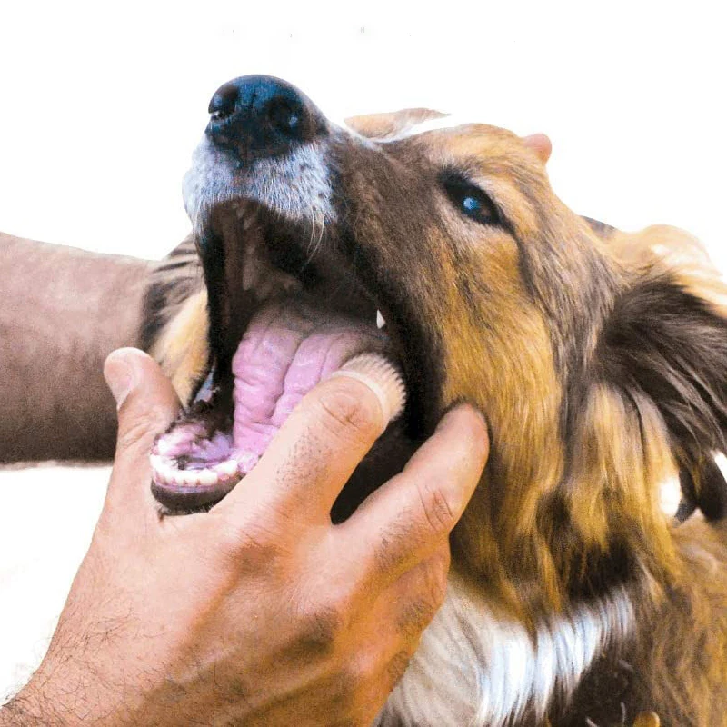 2021 New protect gums 360 degrees Surround brush soft dog finger brush toothbrush brand new Cleaning Fingerbrush Toothbrush