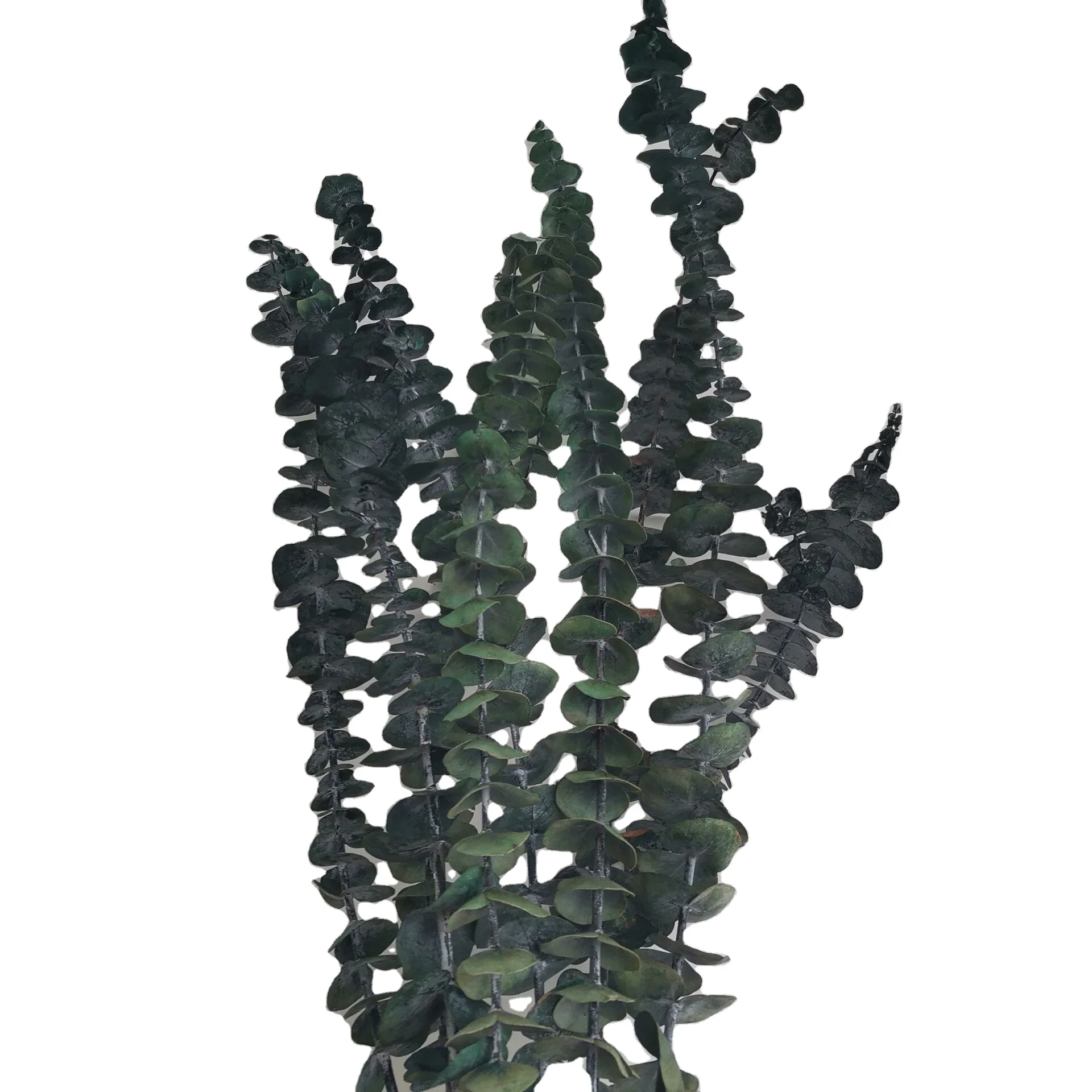 
New Arrival Dried flower Preserved Eucalyptus Leaves For Sell 