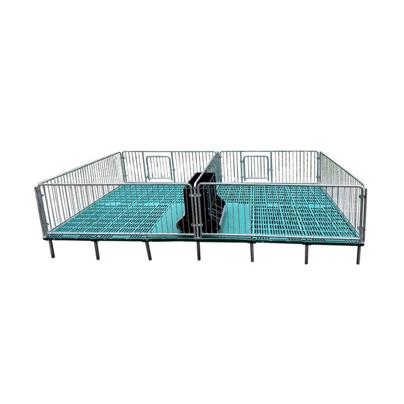 Best Selling Gestation Stalls Group Housing Equipment For Pig Farm