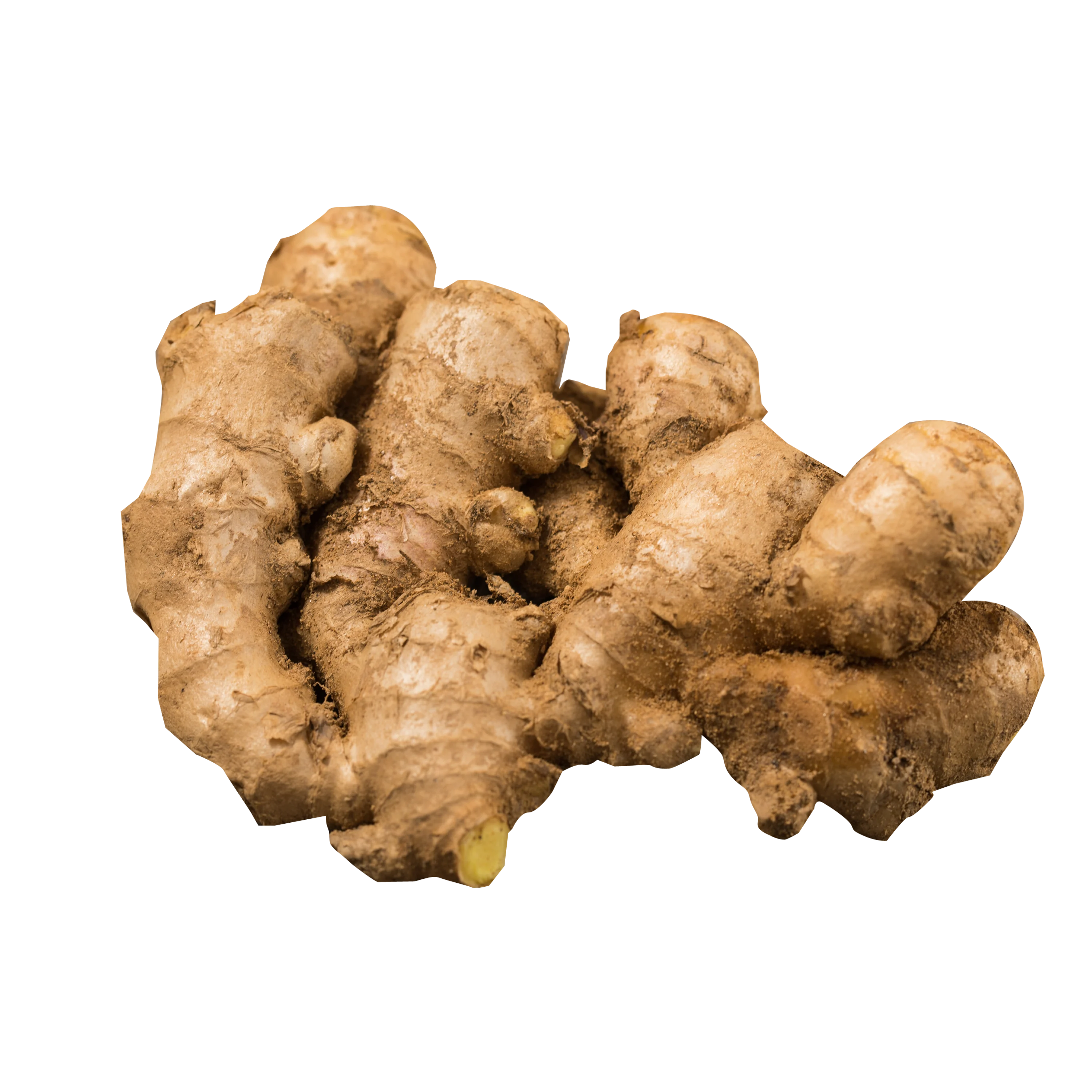 Fresh Ginger - WhatsApp +84988667319 Fresh Ginger for Cooking and Drinking from Viet Nam manufacturer