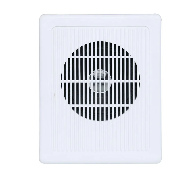 Full Range Indoor Wallaudio System 3W Mini Wall In-Wall Speakers Wall-Mounted Speaker
