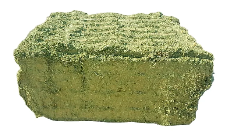 Premium Grade A+ dried Timothy Hay sheep Animal Feed cubes sudan spain price per ton Alfalfa Hay bales for sale