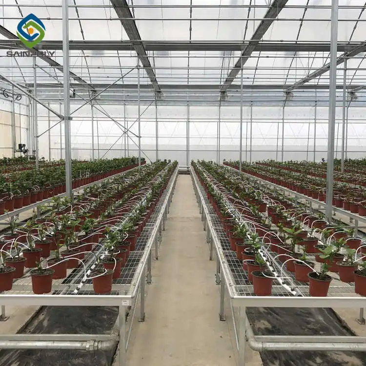Agricultural Film greenhouse with hydroponic system