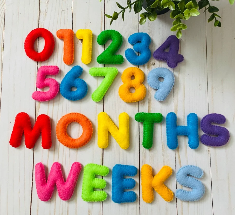Felt Baby Milestone Numbers Months and Weeks Photo Prop Countdown Number Baby Milestone tracker