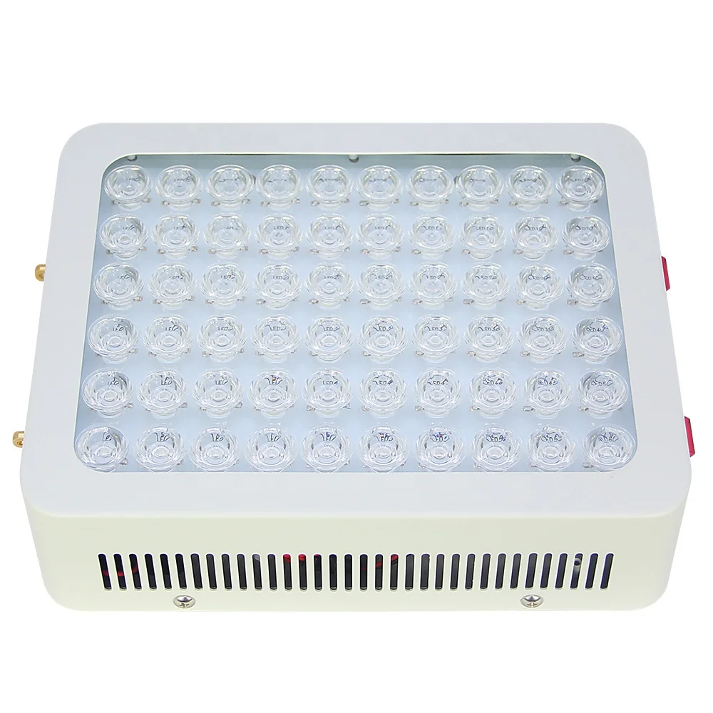 300W High Quality high power chip LED 660m 850nm Full Body red light therapy lamp for Skin Health Beauty