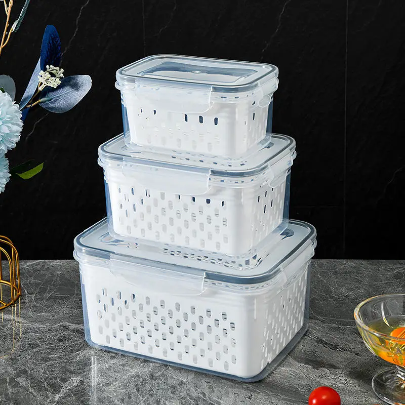 OEM/ODM Fruit And Vegetable Storage Box With Lid Household Kitchen Drain Basket Refrigerator Food Freezing Sealed Box Plastic mo
