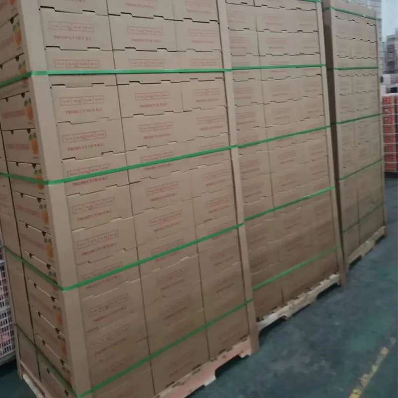 2023 New Crop 100% Natural Pure Healthy Fresh Citrus Fruit From Chinese Farms