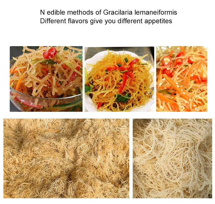 Китайский пищевой завод для приготовления супа, оптовая продажа, хорошая цена, обезвоженные овощи, морской мох, сушеный на воздухе морской мох