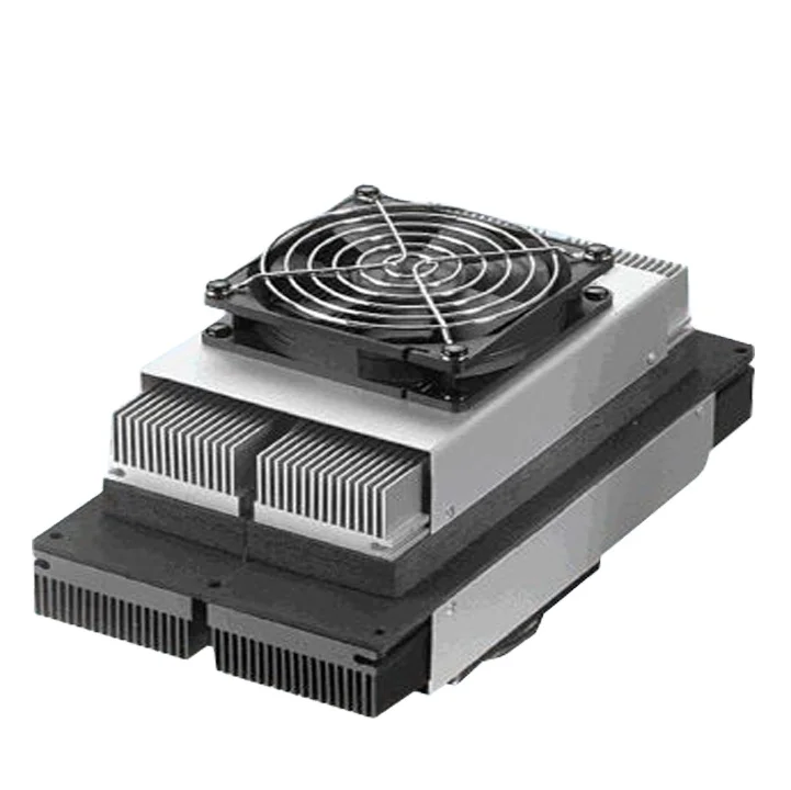 W-TEL Peltier Thermoelectric Air Cooler 100W 24V Automatic Cooling and Heating thermoelectric Cooler for Cabinet