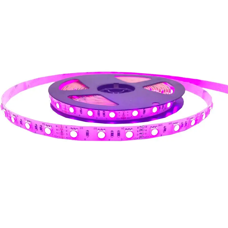 
4 Years Warranty Hot Sale Smart Lighting 5050 RGB LED Strip Light 