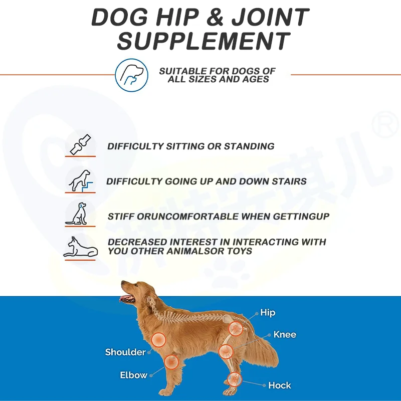 Dog Health Care Products Joint Supplement Msm Flex Extend Muscles Health Advanced Hip & Joint - Dog Joint Supplement