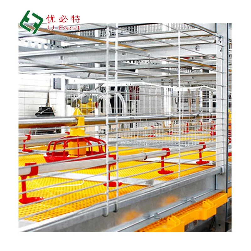 High strength chicken farming broiler cages with automatic harvester equipments for chicken poultry farm