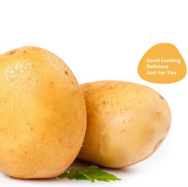 Export 2021 High Quality Fresh Potato China Suppliers Storage Thin Skin Red Yellow Potatoes