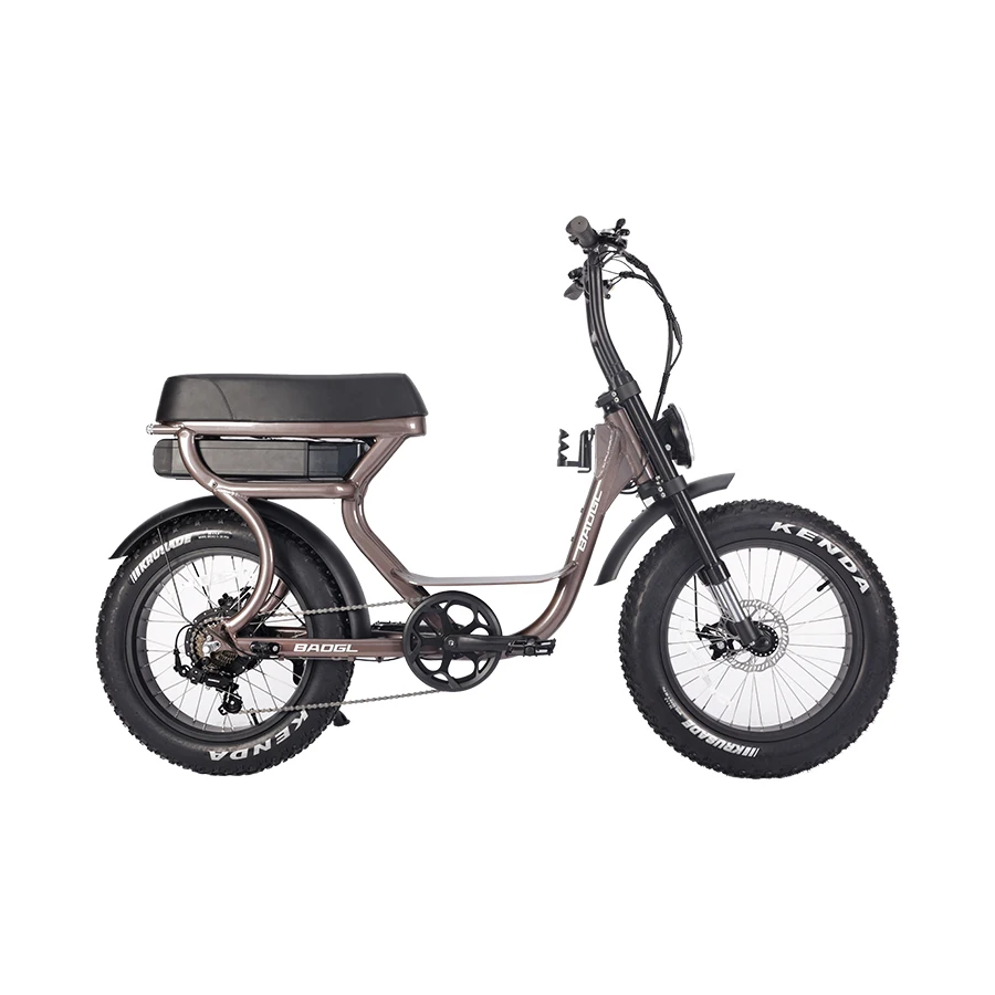 Safeway 20inch alloy frame folding bike Electric Folding Bike 24inch Europe Pedal Assist Foldable Bicycle Ebike Electric Bicycle