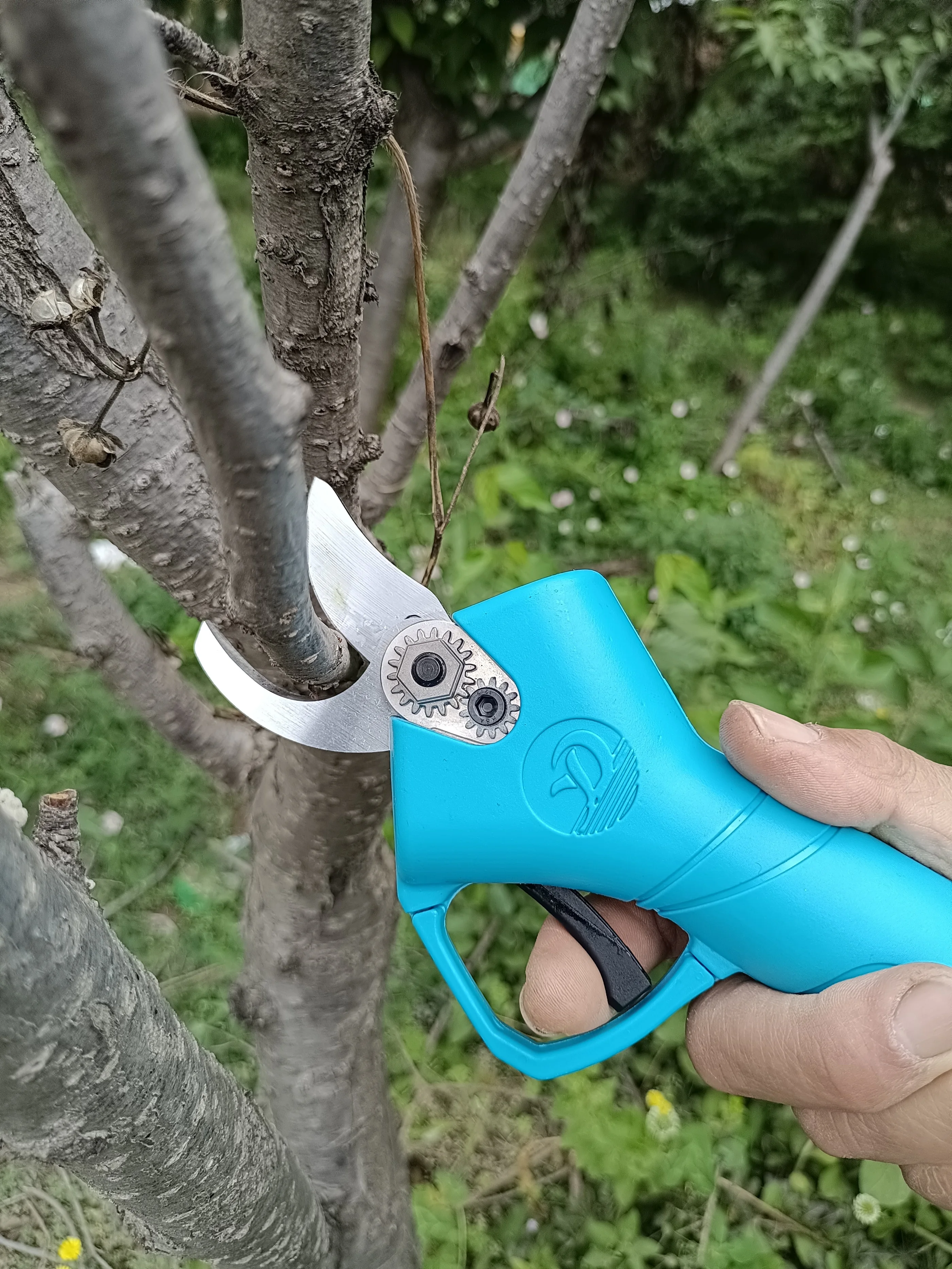 electric pruning shear.jpg