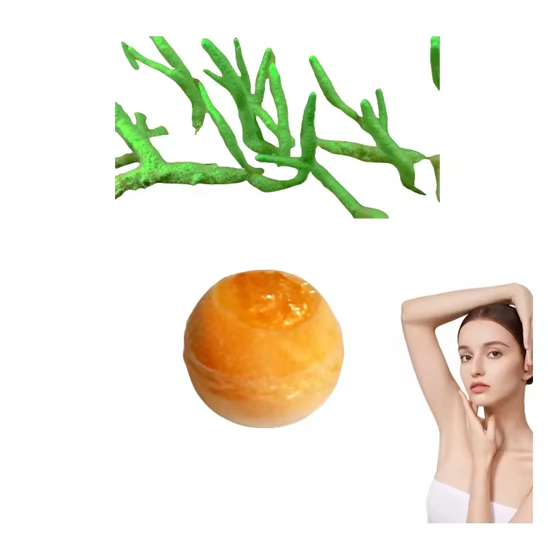 High Quality Cheap Price Natural Ingredient Silica Microsphere Polypeptide Complex Freeze-Dried Beads