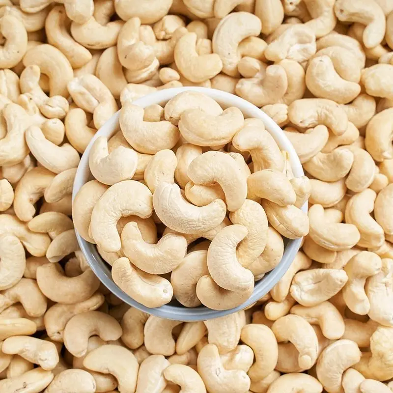 Wholesale High Quality Nuts Importer Cashew Nut Kernel Buyers Natural Raw Cashew Nut