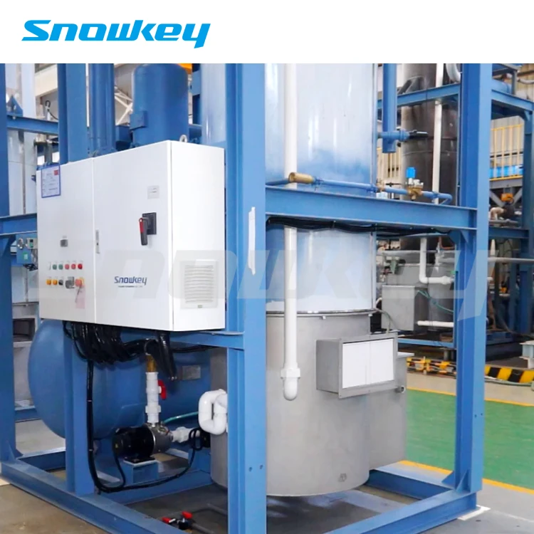 
Snowkey 3 Ton Best Quality Tube Ice Machine for Malaysia 