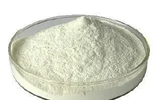 wholesale Food Grade Vegan Mushroom Chitosan HCL Powder for Wound and Skin Care