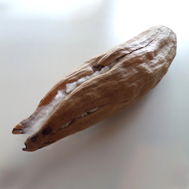 
Hot Sale Filling Material High Quality 100% Fiber Natural Organic Filling Kapok 