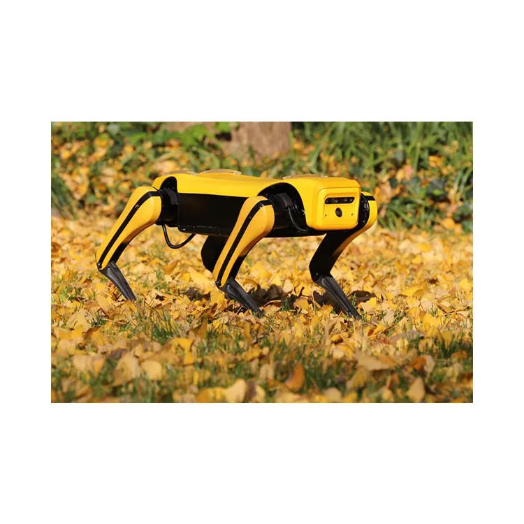 
exploration rescue robot dog supports navigation planning locate autonomously construct maps robot dog 