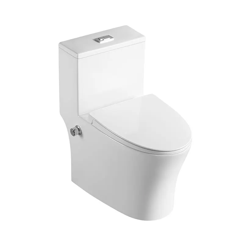 Bidet Toilet Modern Design Bathroom Washdown Rimless One Piece Ceramic UF Material Soft Closing Seat Bidet Wash Floor Mounted