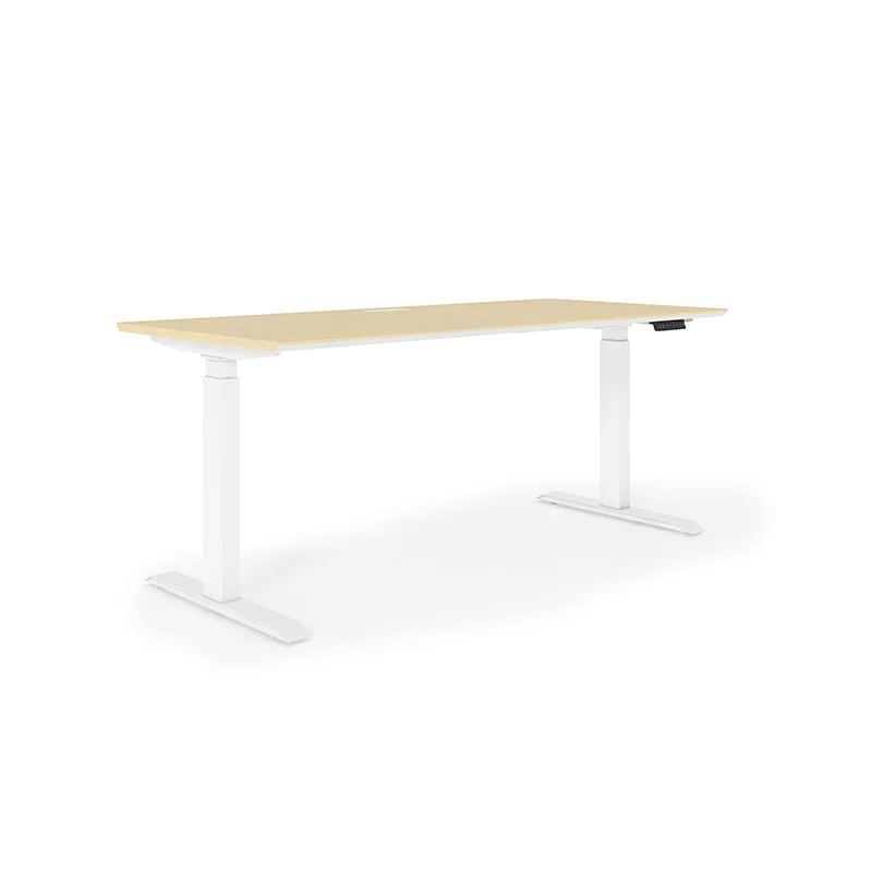 Home Office Desk Frame Ergonomic Electric Stand Up Motorized Adjustable Height Standing Desk