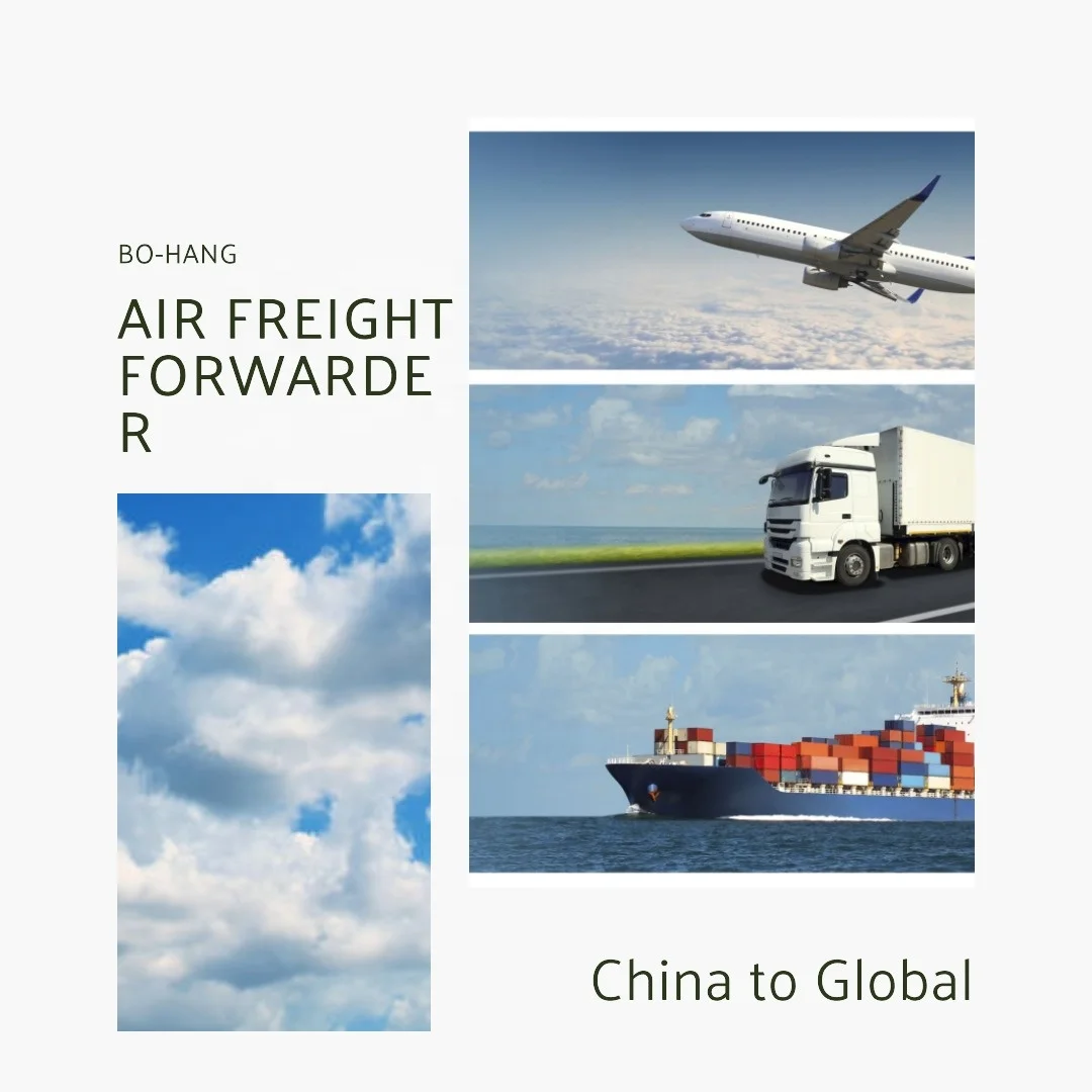 Cheap Sea Freight International Shipping Forwarding Agent China to Qatar Turkey Israel Bahrain FCL LCL door to door service