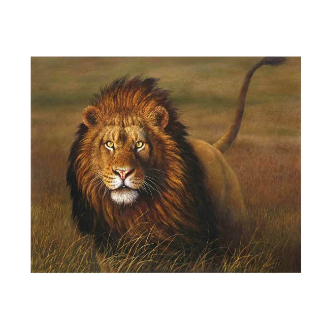 The lion oil painting art paint by numbers adult canvas abstract modern living room decor wall art painting kit