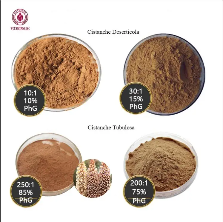120Capsules/Pack Herbs Cistanche Tubulosa Extract Tablets 30% Echinacoside 12% Acteoside Cistanche Extract