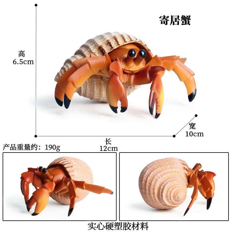 CJJ174 7528.jpg