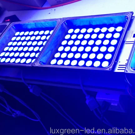 Ip65 dmx512 control rgb outdoor flood light dmx led RGBW flood light