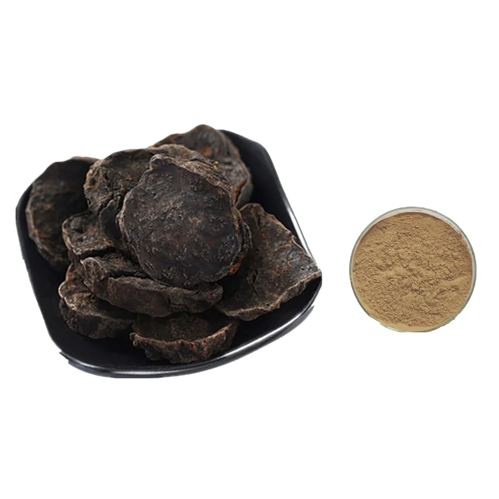Supply High Quality plant extract he shou wu extract Polygoni Multiflori extract powder