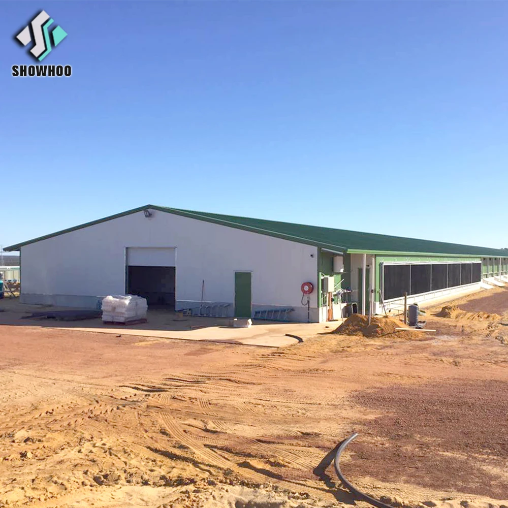 Directly Factory supplying egg layer poultry shed chicken farm house for 10000 chickens